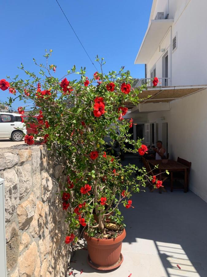 Apartments Nikola Stipisic Hvar Town Exterior photo