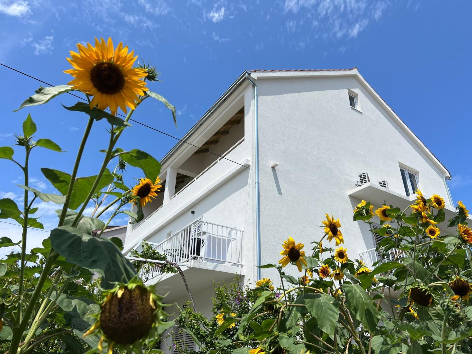 Apartments Nikola Stipisic Hvar Town Exterior photo